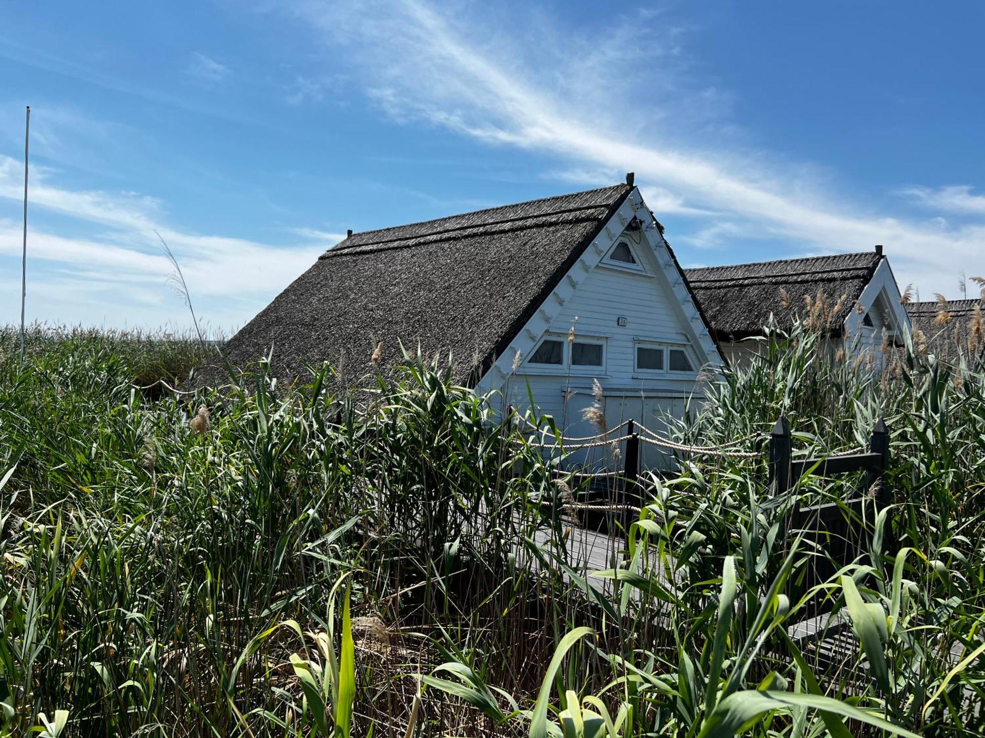 Seehütte Seehaus am Neusiedler See Rust Exterior foto