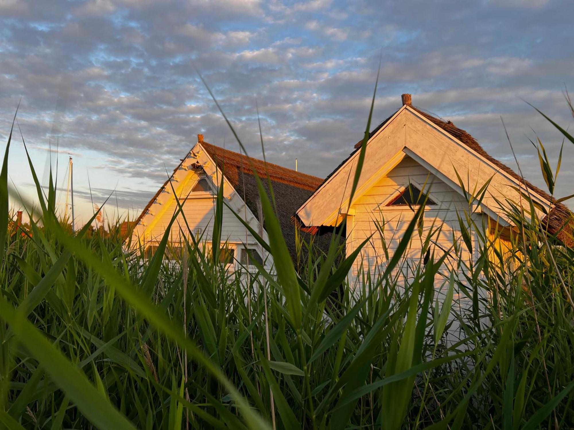 Seehütte Seehaus am Neusiedler See Rust Exterior foto